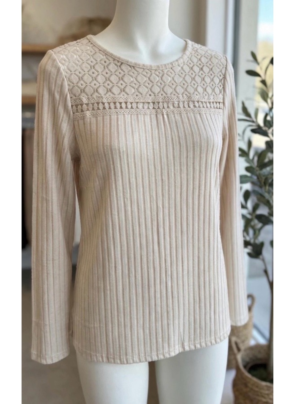 Lillestory Lace Yoke Ribbed Long Sleeve Top - Cream NWT